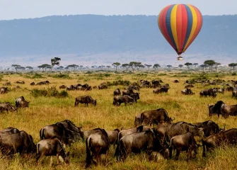 Top Things to Do in Zanzibar
