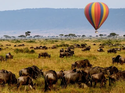 Top Things to Do in Zanzibar