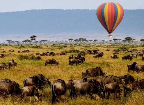 Top Things to Do in Zanzibar