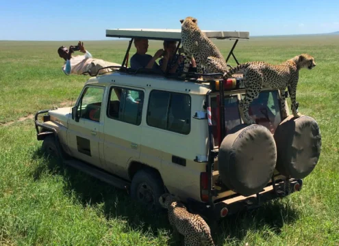 Best tours in Zanzibar