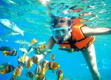 Best Tours in Zanzibar