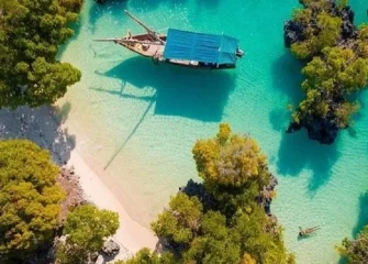Best Tours in Zanzibar