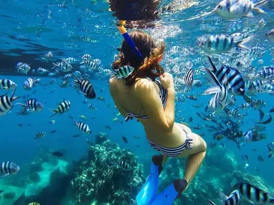 Bawe snorkling