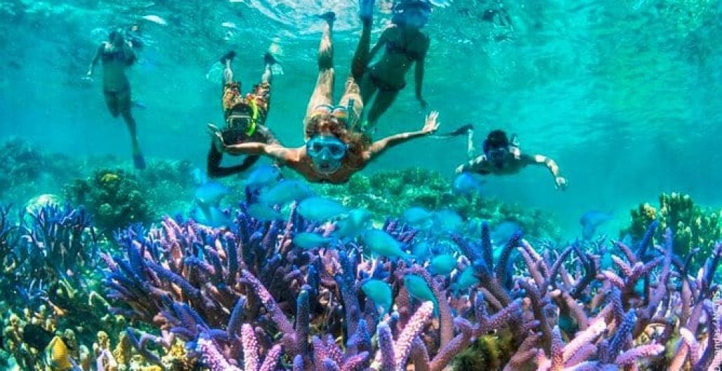 Best Tours in Zanzibar