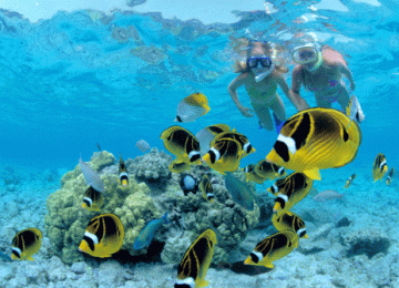 Best Tours in Zanzibar