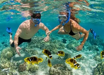 Best Tours in Zanzibar