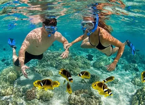 Best Tours in Zanzibar