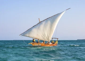 Best Tours in Zanzibar