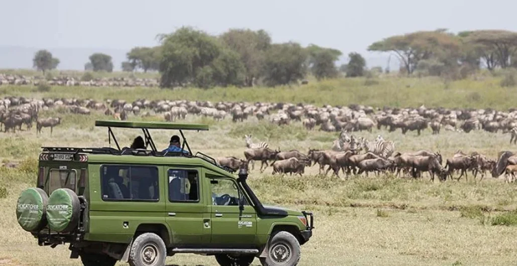 Top Things to Do in Zanzibar