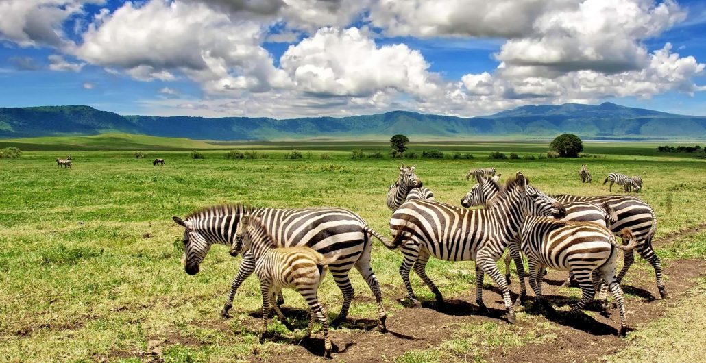 Best Tours in Zanzibar