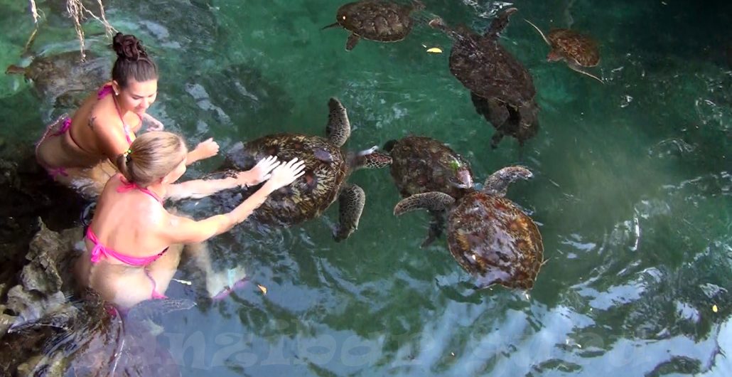 Best tours in Zanzibar