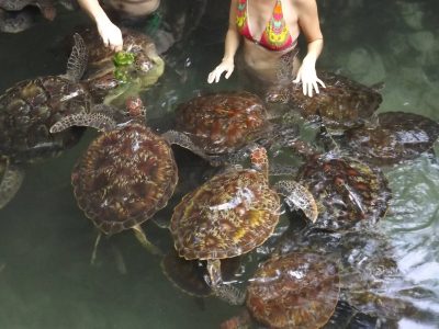 Best tours in Zanzibar