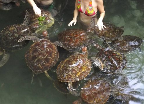 Best tours in Zanzibar