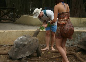 Best tours in Zanzibar