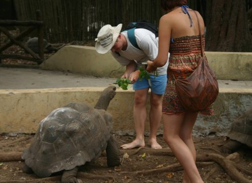 Best tours in Zanzibar