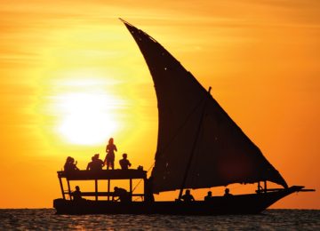 Best tours in Zanzibar