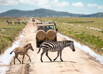 Best tours in Zanzibar
