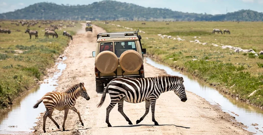 Best tours in Zanzibar