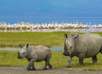 Best Tours in Zanzibar