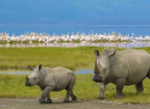 Top Things to Do in Zanzibar