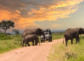 Best tours in Zanzibar