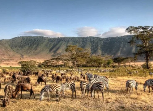 Top Things to Do in Zanzibar