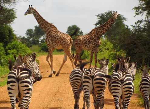 Best tours in Zanzibar