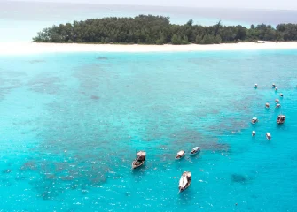 Best Tours in Zanzibar
