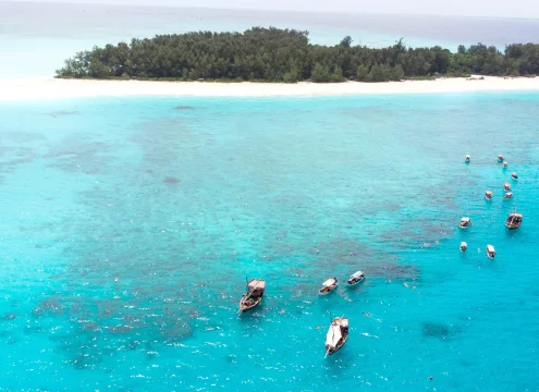 Best Tours in Zanzibar