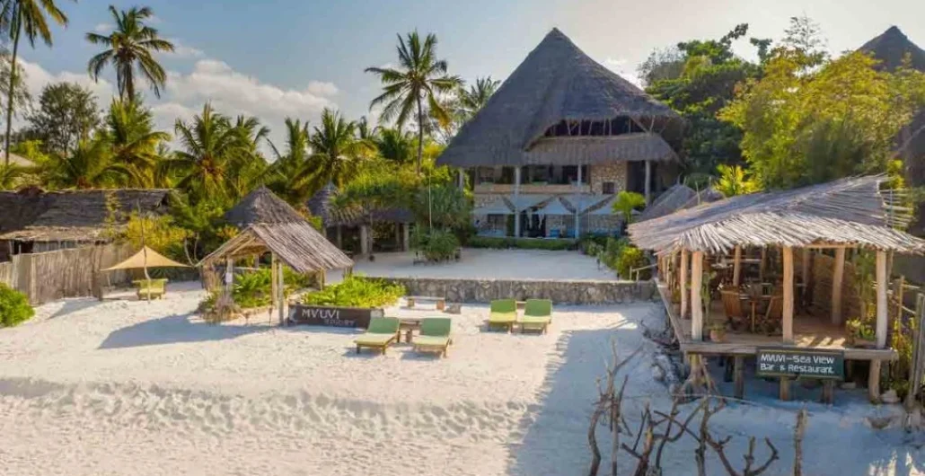 Best Tours in Zanzibar