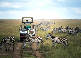 Best Tours in Zanzibar