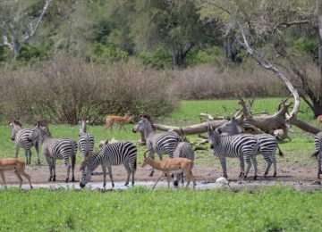 Best tours in Zanzibar