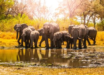 Best tours in Zanzibar