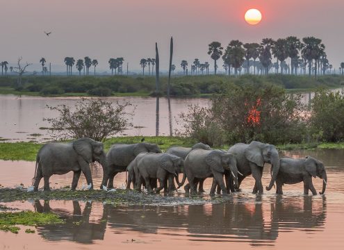 Best tours in Zanzibar