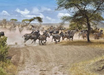 Best tours in Zanzibar