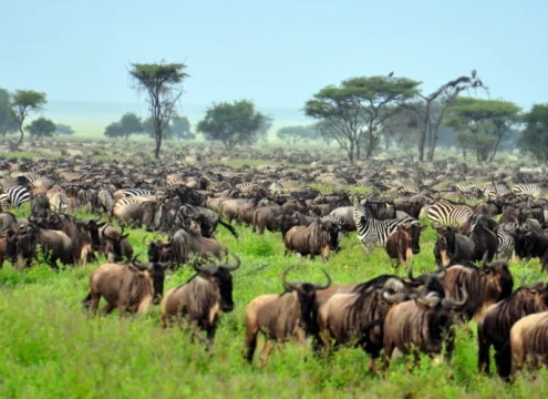 Best tours in Zanzibar