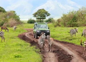 Best tours in Zanzibar