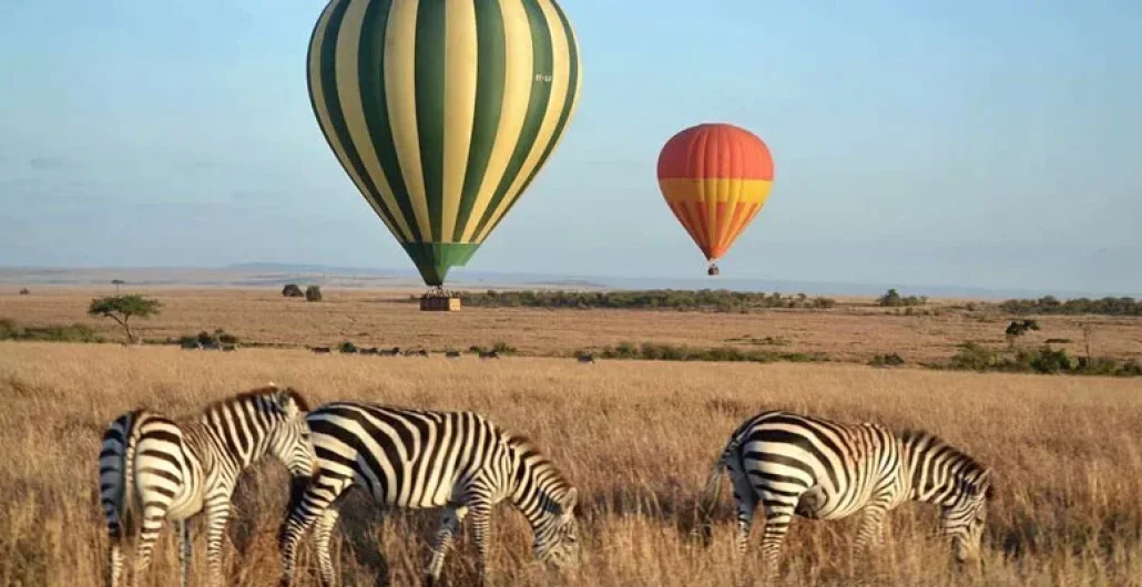 Top Things to Do in Zanzibar