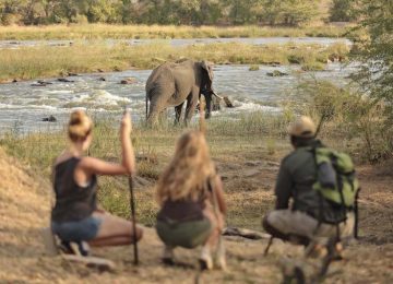 Best tours in Zanzibar