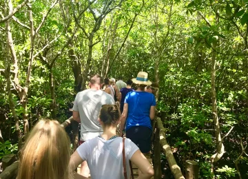 Best tours in Zanzibar