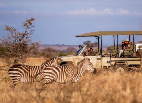 Best tours in Zanzibar